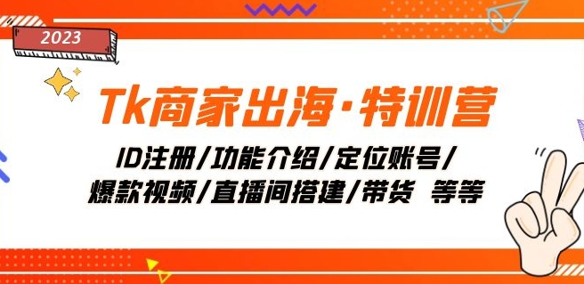 Tk商家出海·特训营：ID注册/功能介绍/定位账号/爆款视频/直播间搭建/带货插图