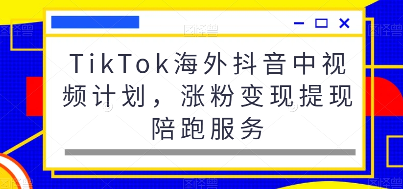 TikTok海外抖音中视频计划，涨粉变现提现陪跑服务插图