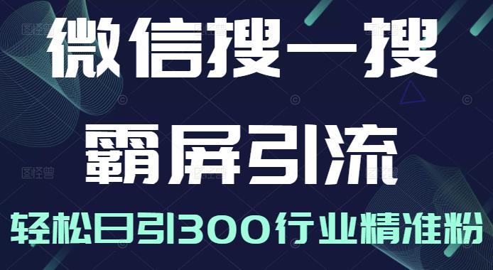 微信搜一搜霸屏引流课，打造被动精准引流系统，轻松日引300行业精准粉【无水印】插图