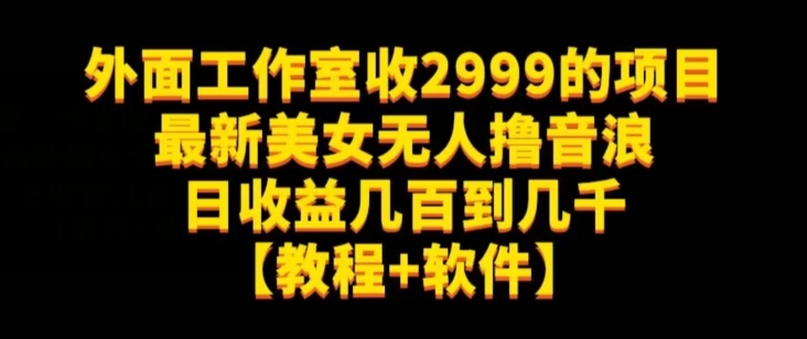 外面工作室收2999的项目zui新美女无人撸音浪日收益几百到几千【教程+软件】（仅揭秘）插图