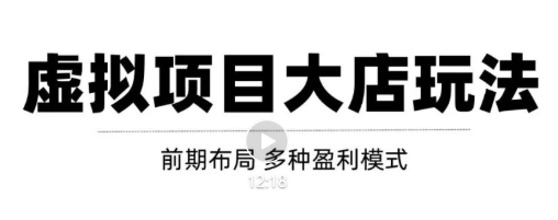 虚拟项目月入几万大店玩法分享，多店操作利润倍增（快速起店盈利）插图