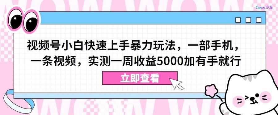 视频号小白快速上手暴力玩法，一部手机，一条视频，实测一周收益5000加有手就行【揭秘】插图