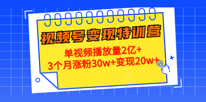 （4455期）20天视频号变现特训营：单视频播放量2亿+3个月涨粉30w+变现20w+插图