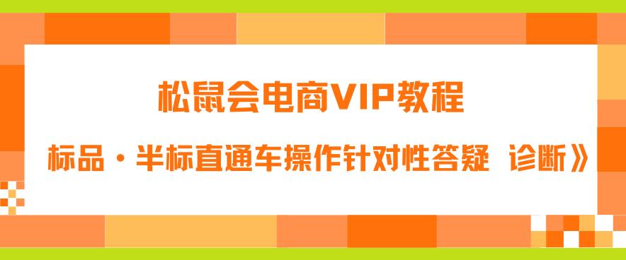 松鼠会电商VIP教程：松鼠《付费推广标品·半标直通车操作针对性答疑&诊断》插图