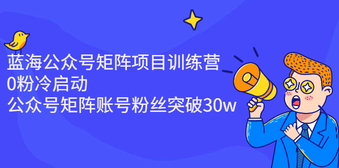 （2405期）蓝海公众号矩阵项目训练营，0粉冷启动，公众号矩阵账号粉丝突破30w插图