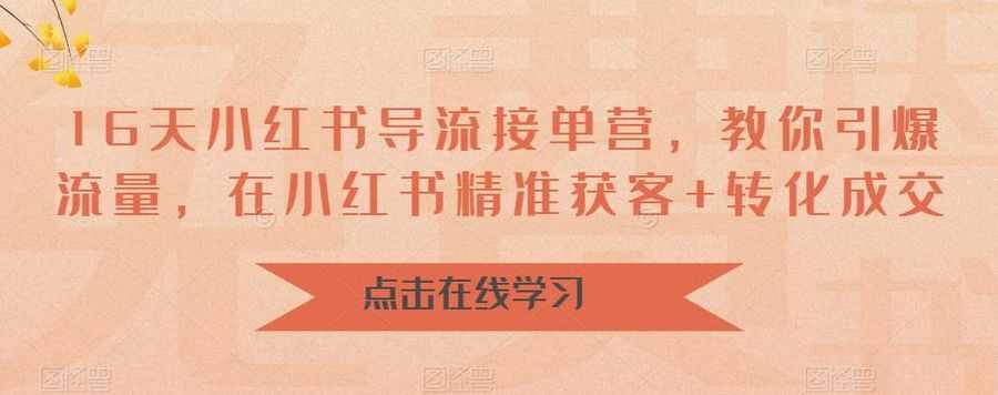 （6523期）16天-小红书 导流接单营，教你引爆流量，在小红书精准获客+转化成交插图