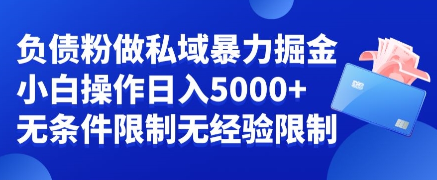 负债粉私域暴力掘金，小白操作入5000，无经验限制，无条件限制【揭秘】插图