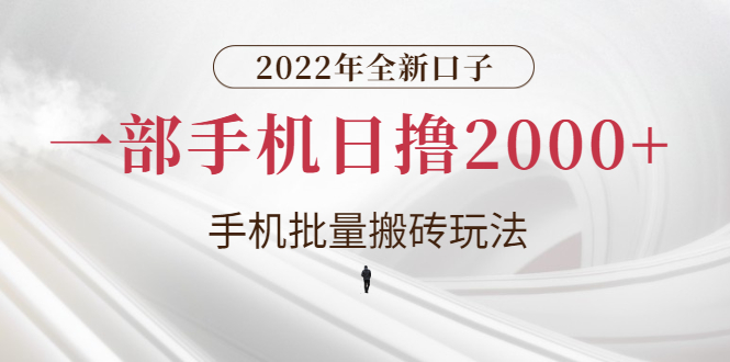 （2682期）2022年全新口子，手机批量搬砖玩法，一部手机日撸2000+插图