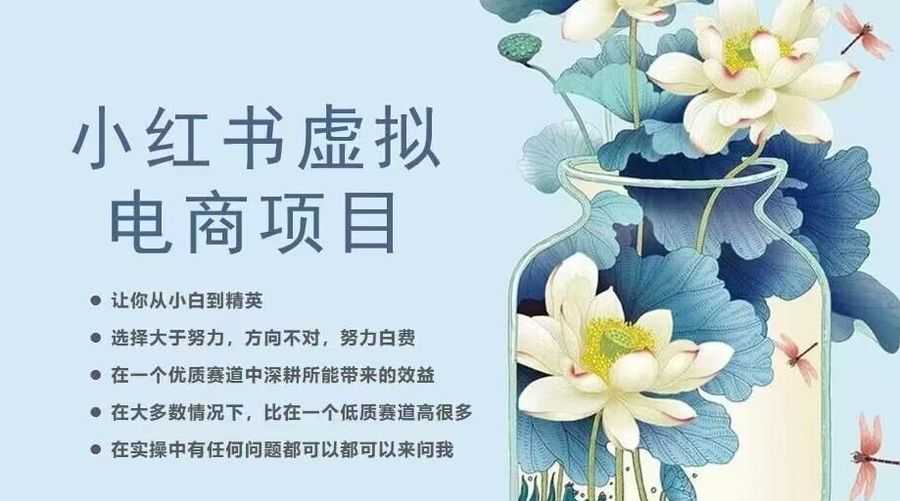 小红书虚拟电商从0到1，让你从小白到精英（20节实操课程）插图