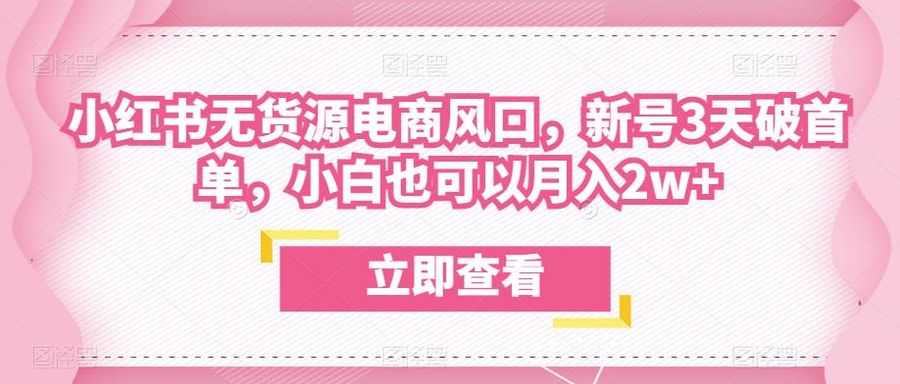 众狼电商余文小红书无货源电商风口，新号3天破首单，小白也可以月入2w+插图