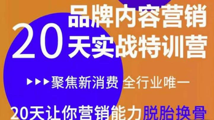 《内容营销实操特训营》20天让你营销能力脱胎换骨（价值3999）插图