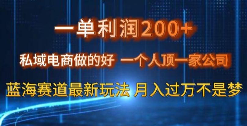 一单利润200私域电商做的好，一个人顶一家公司蓝海赛道zui新玩法【揭秘】插图