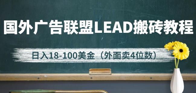 外面卖4位数的国外广告联盟LEAD搬砖教程，日入18-100美金（教程+软件）插图