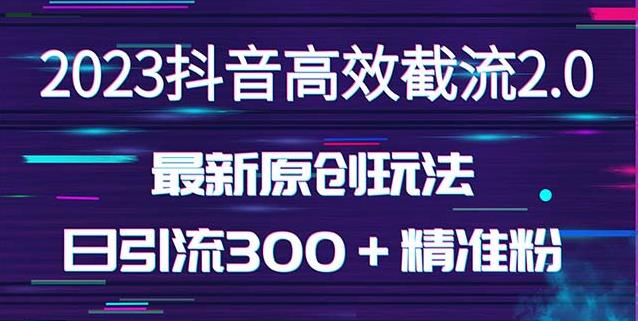 日引300＋创业粉，独家抖音高效截流2.0玩法（价值1280）插图