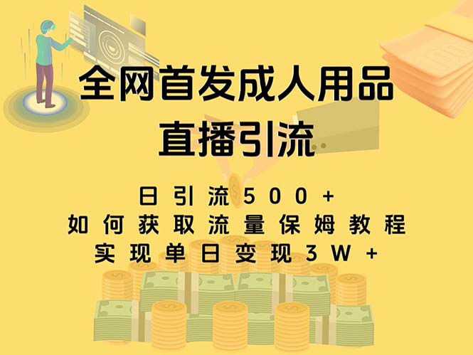 （8193期）zui新全网独创首发，成人用品直播引流获客暴力玩法，单日变现3w保姆级教程插图