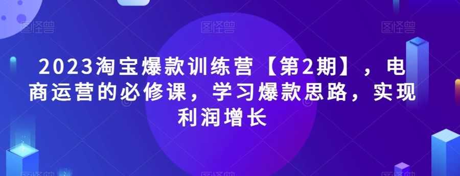 #原创 2023淘宝爆款训练营【第2期】，电商运营的必修课，学习爆款思路，实现利润增长插图