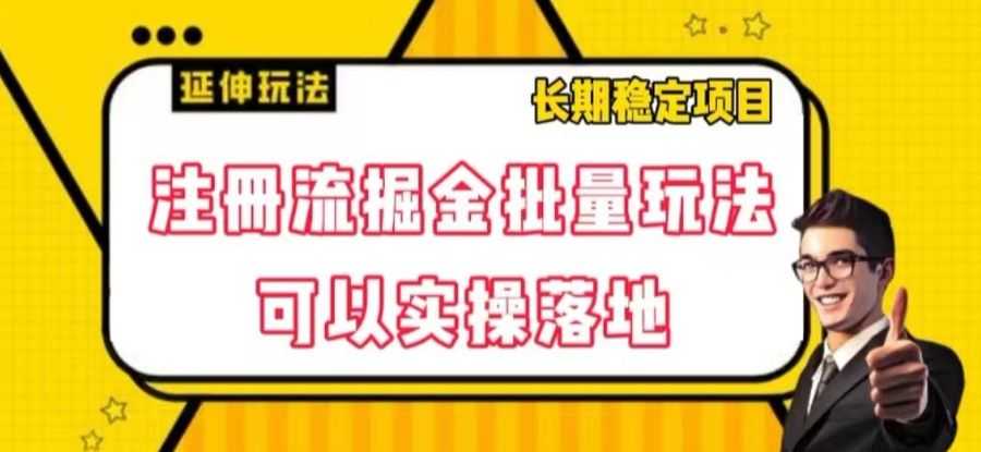 注册流掘金批量玩法，可以实操落地【揭秘】插图