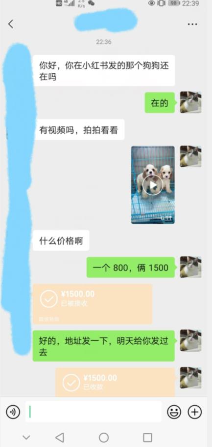 外边收费3980的同城萌宠项目，用zui冷门的玩法冲击zui热门的市场【揭秘】插图1