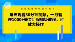 每天观看30分钟视频，一月躺赚1000+美金！保姆级教程，可放大操作【揭秘】插图