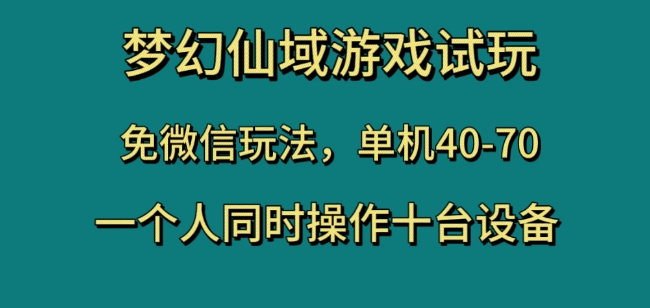 梦幻仙域游戏试玩，免微信玩法，单机40-70，一个人同时操作十台设备【揭秘】插图