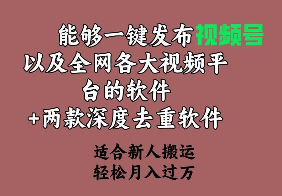 （9319期）能够一键发布视频号以及全网各大视频平台的软件+两款深度去重软件插图