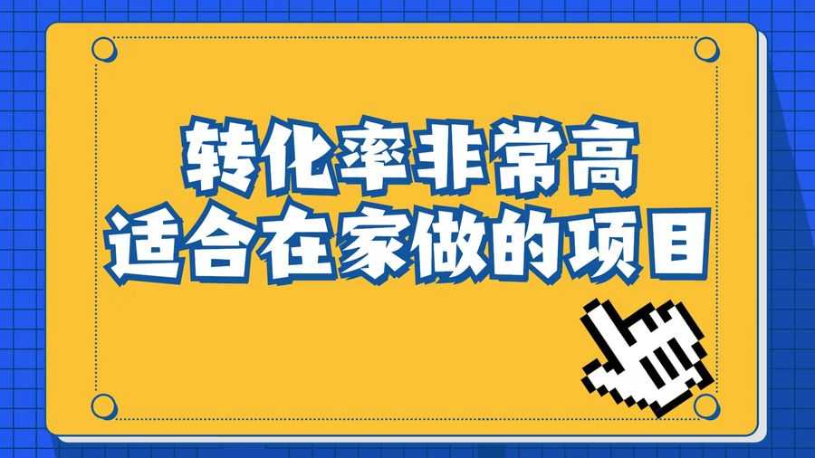 （6830期）小红书虚拟电商项目：从小白到精英（视频课程+交付手册）插图