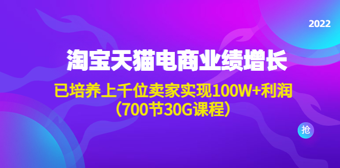 （4409期）淘系天猫电商业绩增长：已培养上千位卖家实现100W+利润（700节30G课程）插图