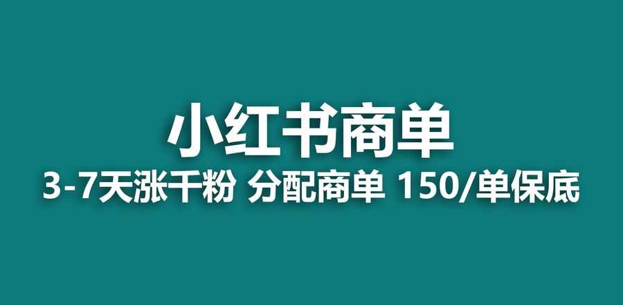 (6615期)2023zui强蓝海项目，小红书商单项目，没有之一！插图