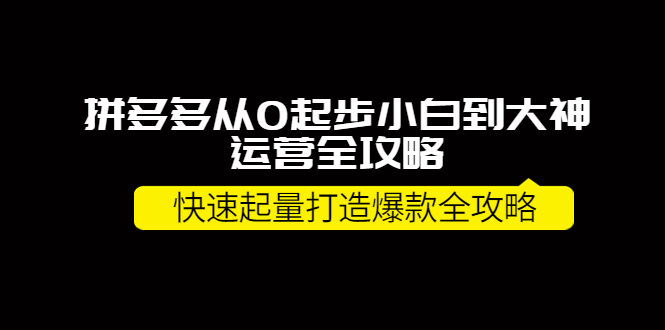 （3884期）拼多多从0起步小白到大神运营全攻略，快速起量打造10W+爆款全攻略！插图