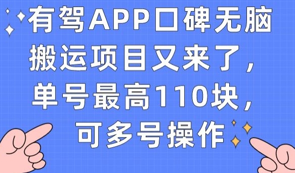 有驾APP口碑无脑搬运项目又来了，单号zui高110块，可多号操作插图