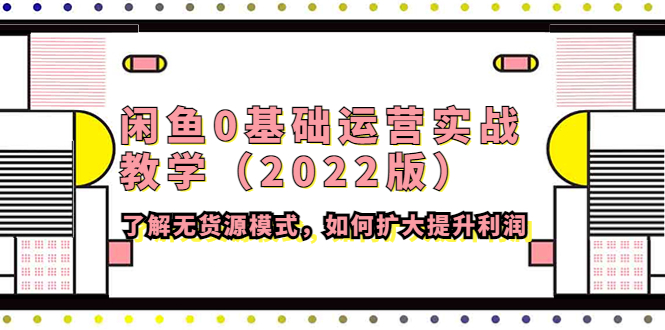 （4196期）闲鱼0基础运营实战教学（2022版）了解无货源模式，如何扩大提升利润插图