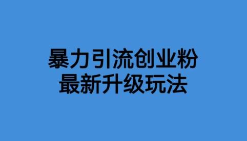 价值1980一千个野路子暴力引流zui新升级玩法【揭秘】插图