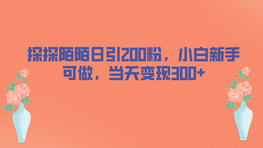 （6817期）探探陌陌日引200粉，小白新手可做，当天就能变现300+插图