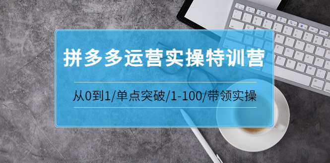 （3417期）青云:拼多多运营实操特训营：从0到1/单点突破/1-100/带领实操插图