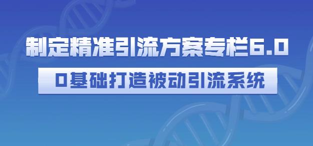 制定精准引流方案专栏6.0，0基础打造被动引流系统插图