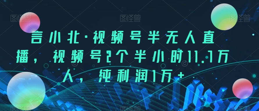 言小北·视频号半无人直播，视频号2个半小时11.7万人，纯利润1万+插图