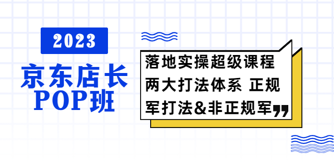 （5699期）2023京东店长·POP班 落地实操超级课程 两大打法体系 正规军&非正规军插图