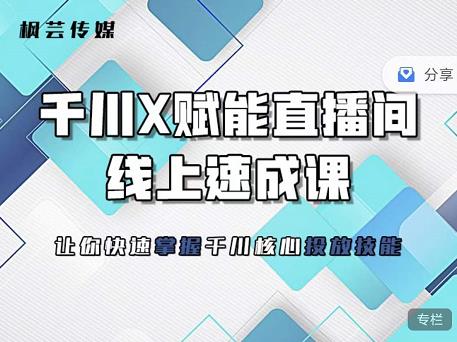 枫芸传媒-线上千川提升课，提升千川认知，提升千川投放效果插图