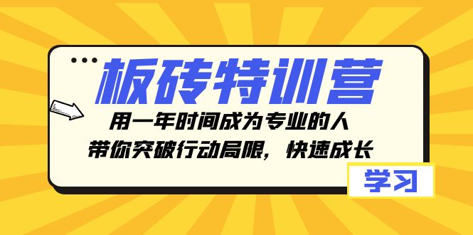 板砖特训营，用一年时间成为专业的人，带你突破行动局限，快速成长插图