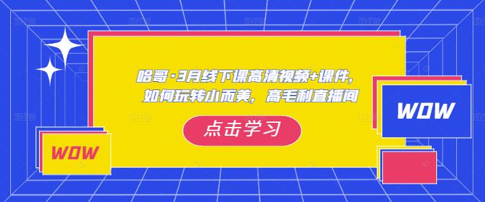 哈哥·3月线下实操课高清视频+课件，如何玩转小而美，高毛利直播间插图