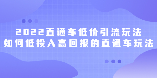 （2415期）2022直通车低价引流玩法，教大家如何低投入高回报的直通车玩法插图