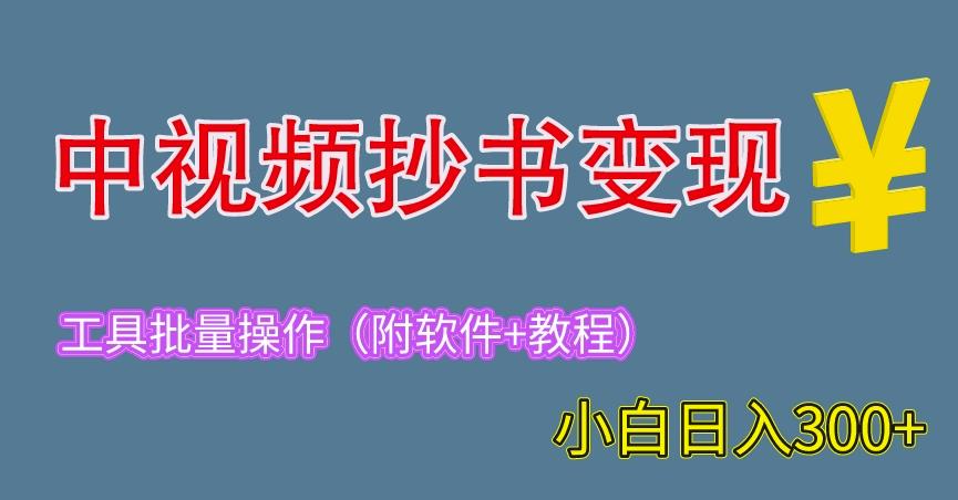 2023中视频抄书变现（附工具+教程），一天300+，特别适合新手操作的副业（揭秘）插图