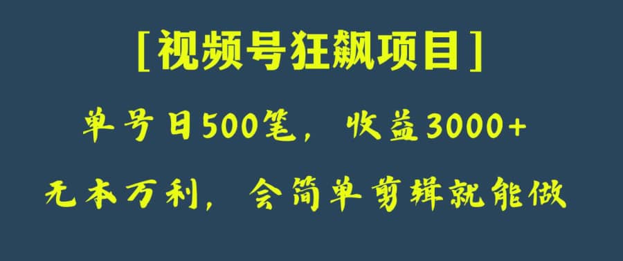 日收款500笔，纯利润3000+，视频号狂飙项目！插图