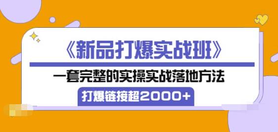 《新品打爆实战班》一套完整的实操实战落地方法，打爆链接超2000+（38节课)插图