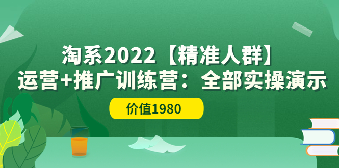 （3516期）淘系2022【精准人群】运营+推广训练营：全部实操演示插图