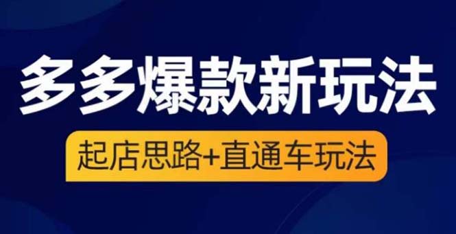 （6028期）2023拼多多爆款·新玩法：起店思路+直通车玩法（3节精华课）插图