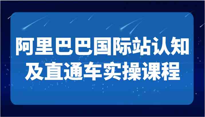 阿里巴巴国际站认知及直通车实操课-国际地产逻辑、国际站运营定位、TOP商家运营思路插图