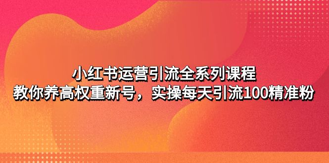 （4950期）小红书运营引流全系列课程：教你养高权重新号，实操每天引流100精准粉插图