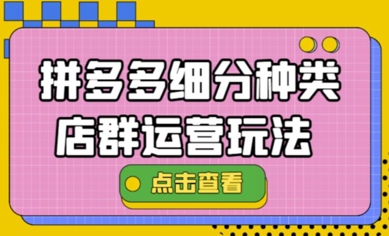 拼多多细分种类店群运营玩法3.0，11月zui新玩法，小白也可以操作插图