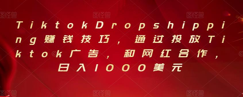 Tiktok Dropshipping赚钱技巧，通过投放Tiktok广告，和网红合作，日入1000美元插图